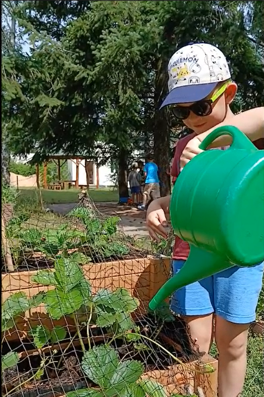 Jedlá školní zahrada - projekt "Zelená oáza"
