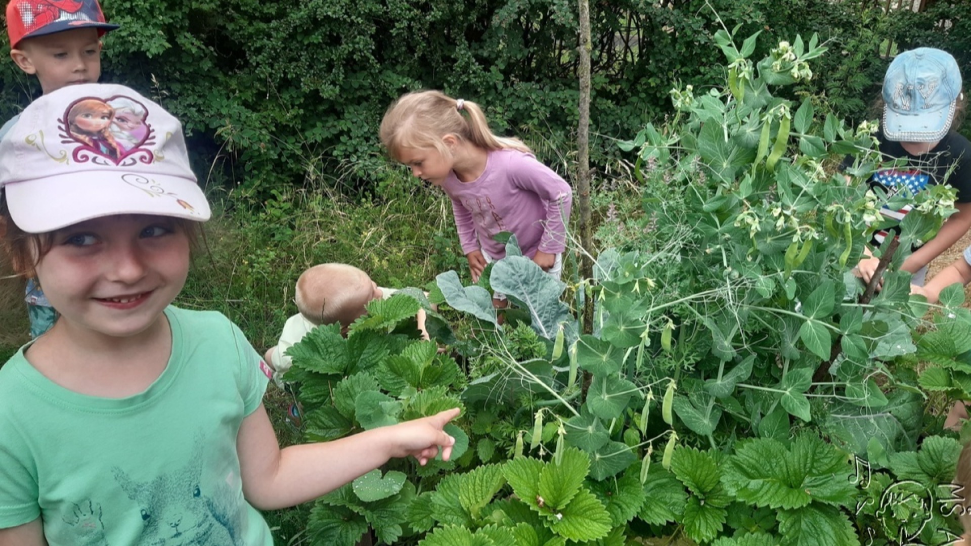 Environmentální aktivity